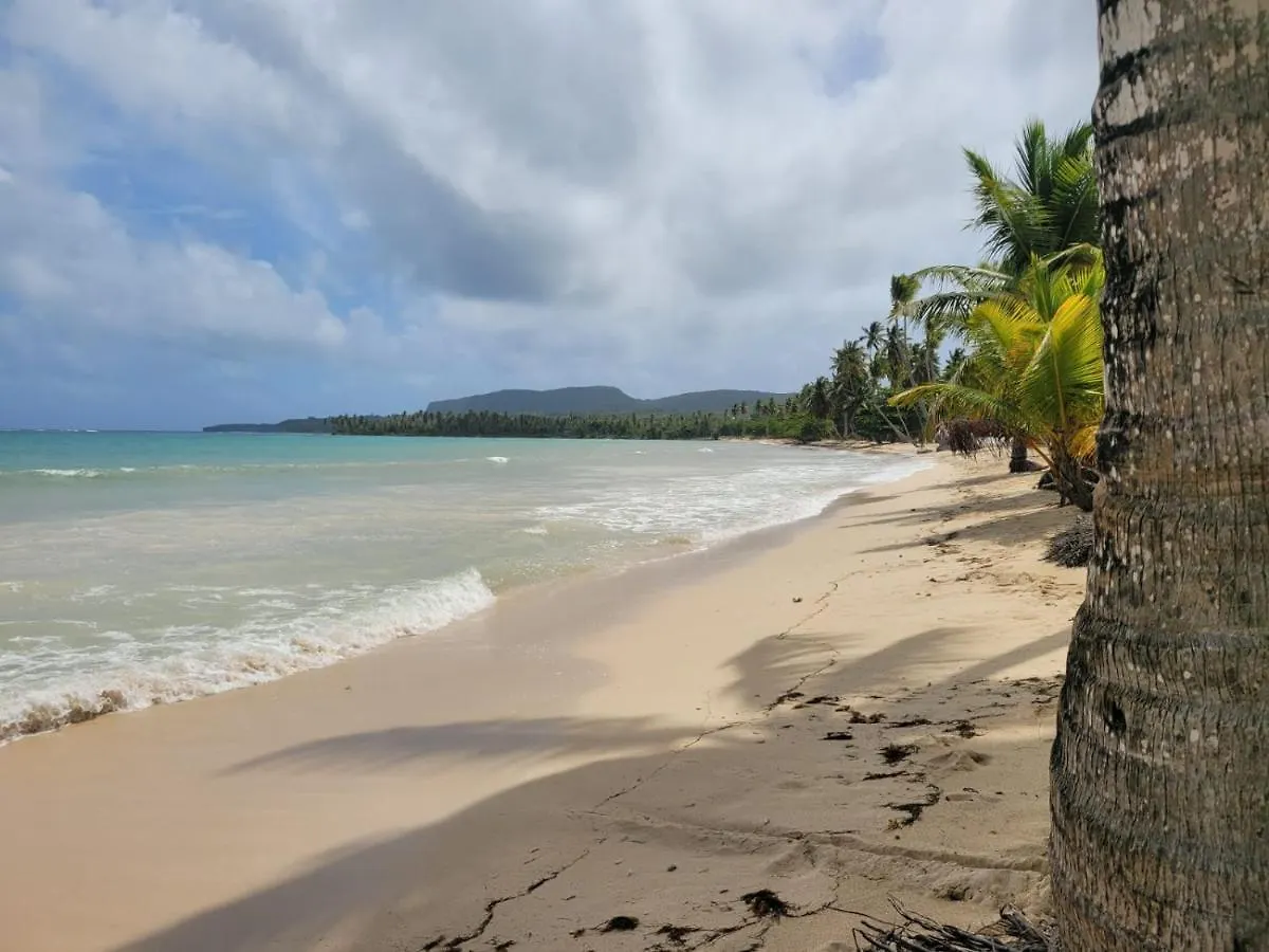 Arena Oceanview Hotel & La Terraza Restaurant Las Galeras Dominikanische Republik